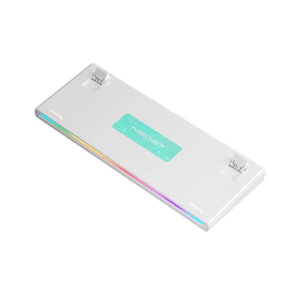 5.webp