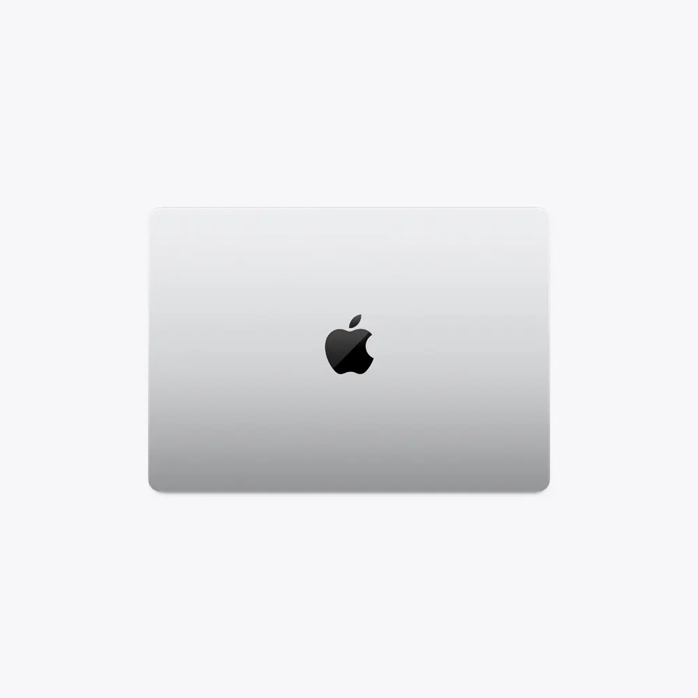 silver1.webp