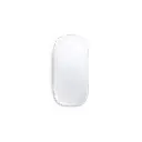 2.webp
