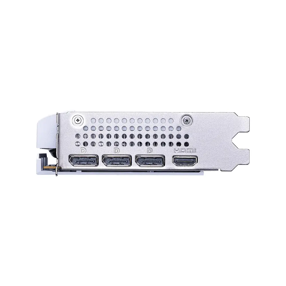 5.webp