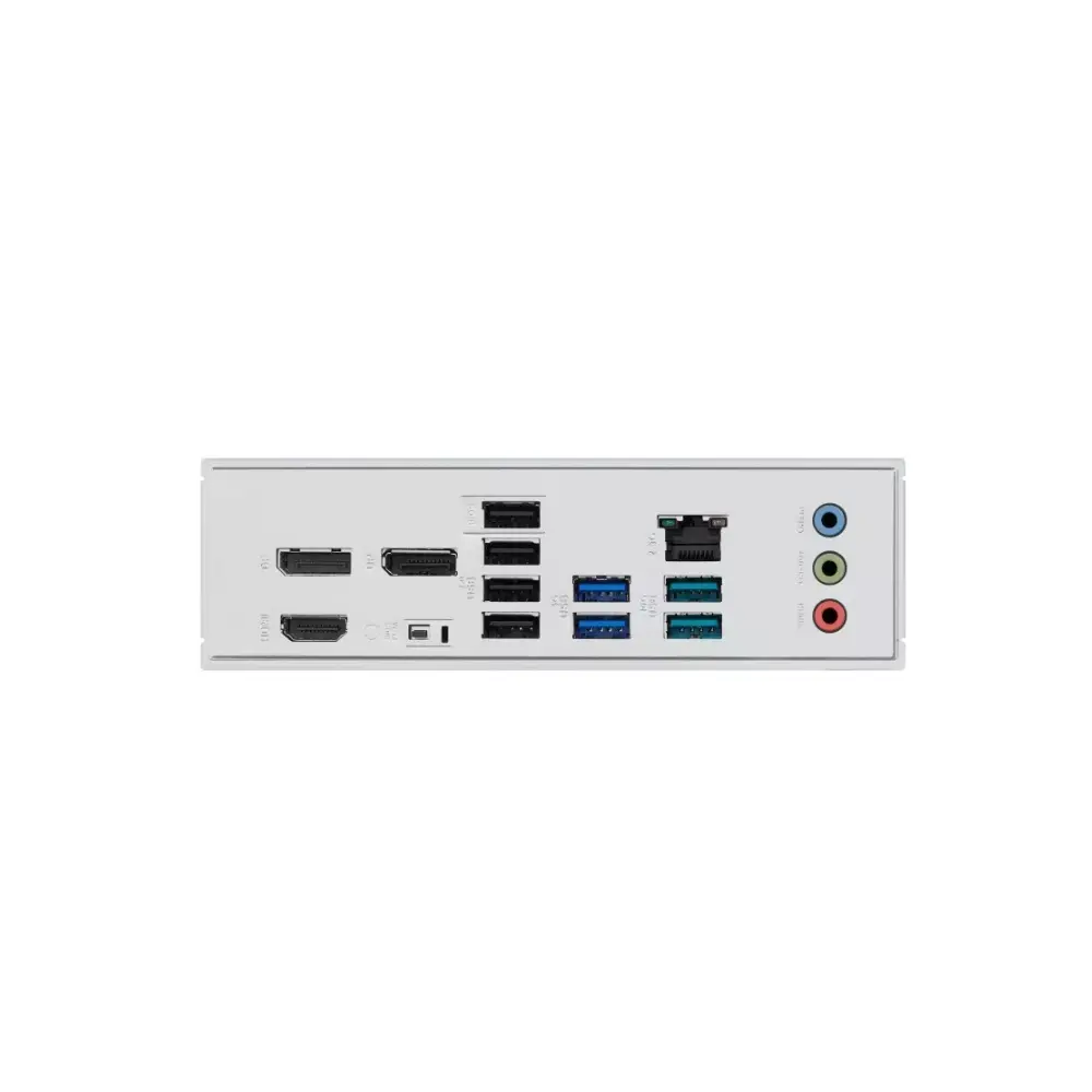 5.webp