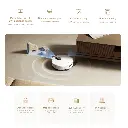 6.webp