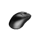 black1.webp