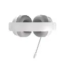 3.webp
