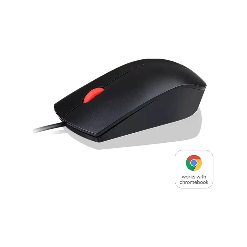 2.webp