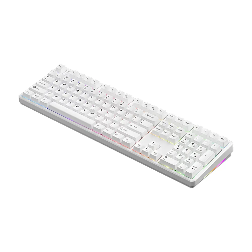 4.webp