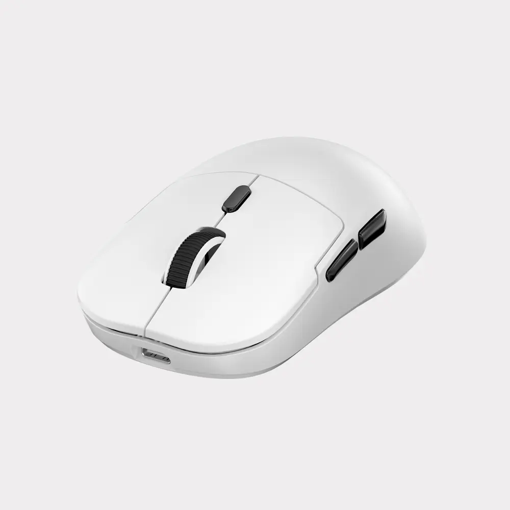 3.webp