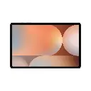 slv2.webp