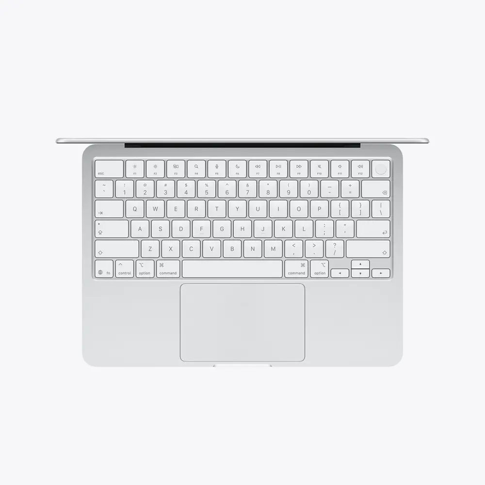 silver1.webp