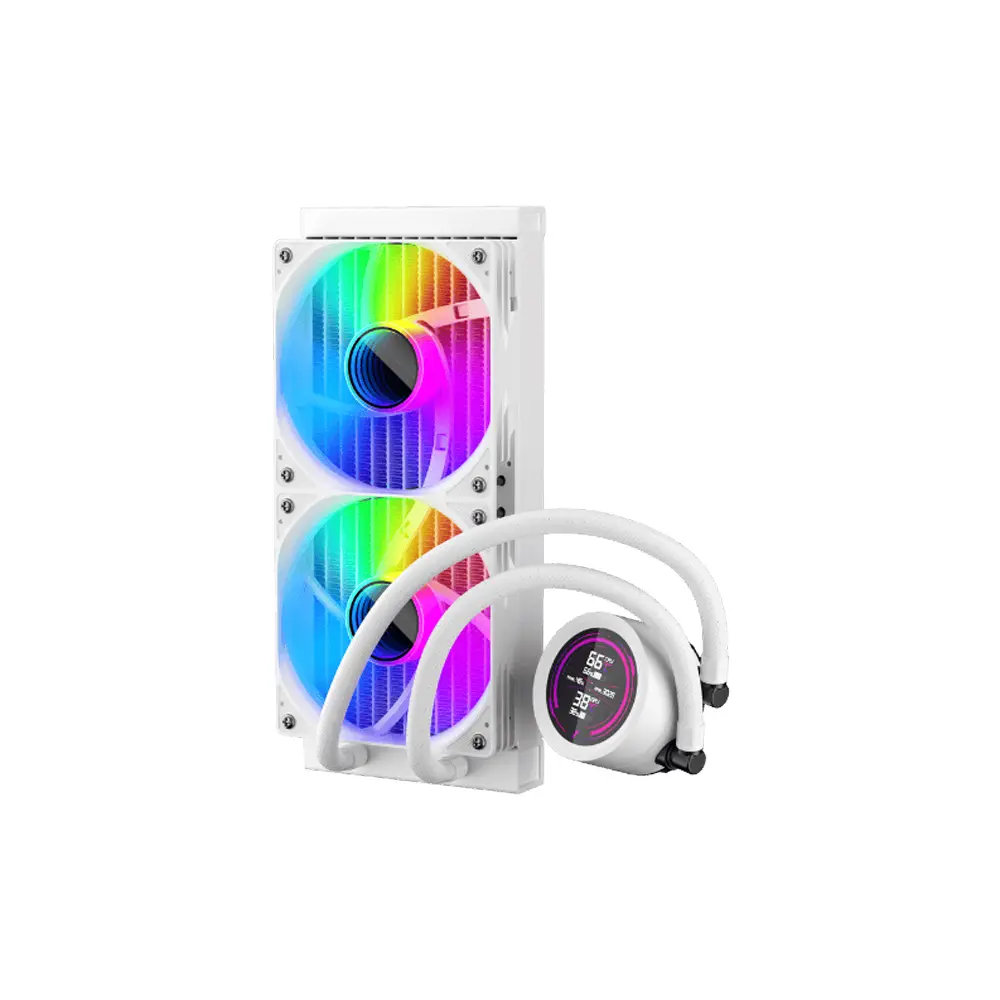 3.webp