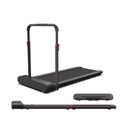 KingSmith Walkingpad R1 Pro Special Edition Foldable Treadmill (110 Kg)