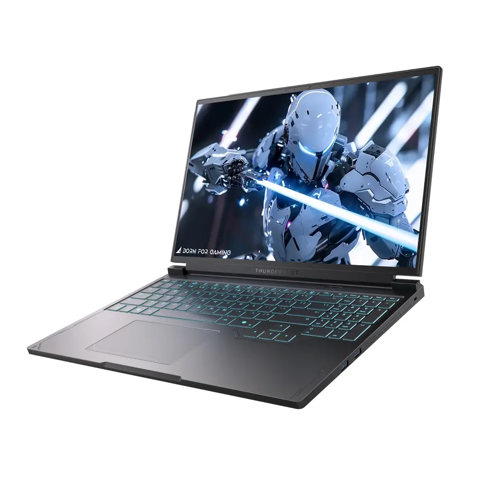 Thunderobot RS16 Intel Core i7-13650HX 1TB PCIe 4.0 SSD 16GB DDR5 5600MHz RAM Nvidia RTX 5060 8GB GDDR7 16" 2.5K (2560×1600) 240Hz 100% DCI-P3 - Windows 11 Home Hummingbird Display Wi-Fi 6 Single-Zone RGB Black Gaming Laptop (RS16-i7136HX56C1Q240ARB)