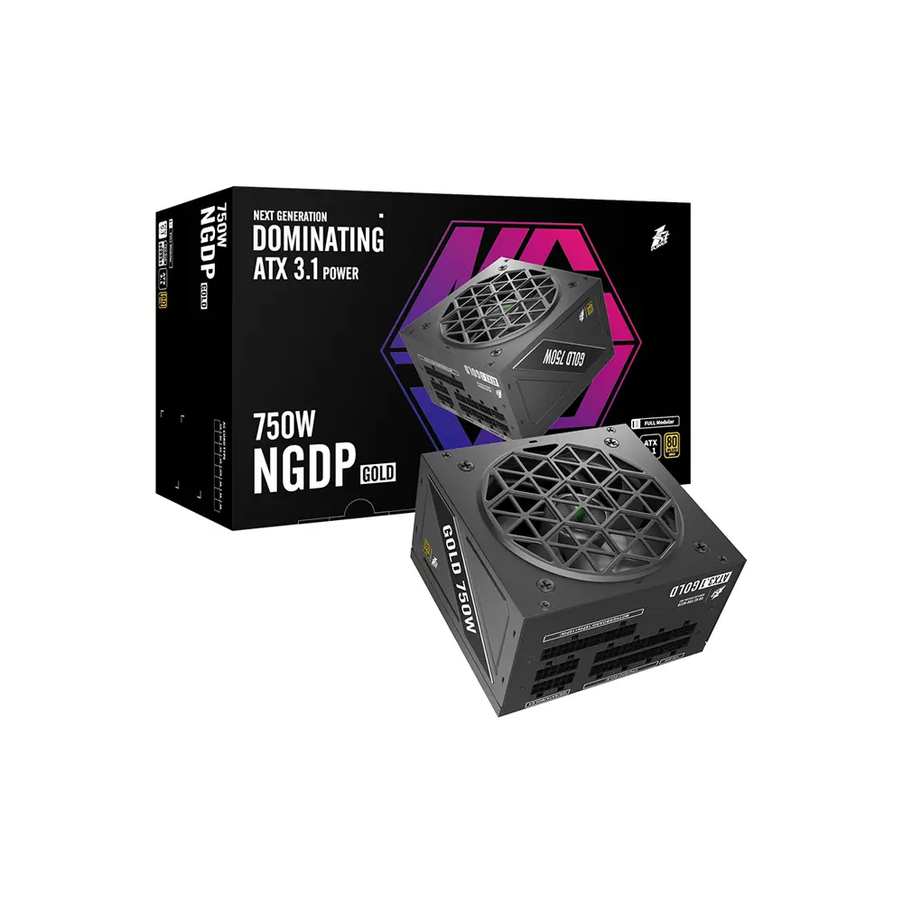 1stPlayer NGDP ATX 3.1 Gold 750W Black Power Supply (PSU) 