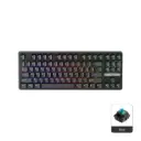 1stPlayer DK6.0 Tenkeyless 87 Key Wired Black Gaming Keyboard Blue Switch RGB Hot Swappable