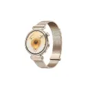 Huawei Watch GT6 41mm Gold Stainless Steel Case - Gold Milanese Strap