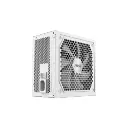 MSI MAG A1000GL 1000W 80+ Gold PCIE5  Full Modular White Power Supply 