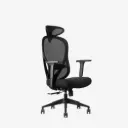 Neodax Ava Ergonomic Mesh Carbon Black Office & Gaming Chair