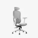 Neodax Ava Ergonomic Mesh Cyber White Office & Gaming Chair 